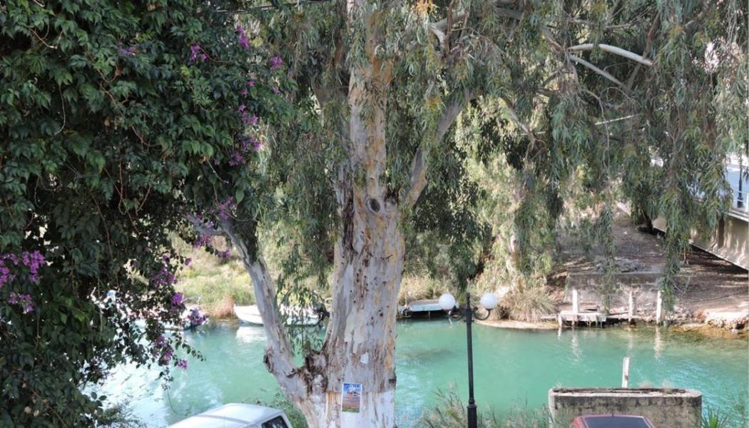 Egeon Rooms And Studios Georgioupoli Dış mekan fotoğraf